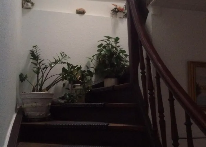 ペンション ルフェーブル ゲストハウス