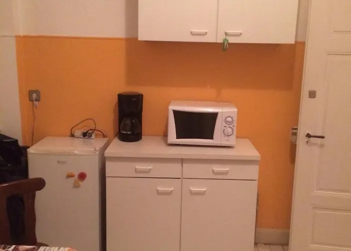 ペンション ルフェーブル ゲストハウス 2*